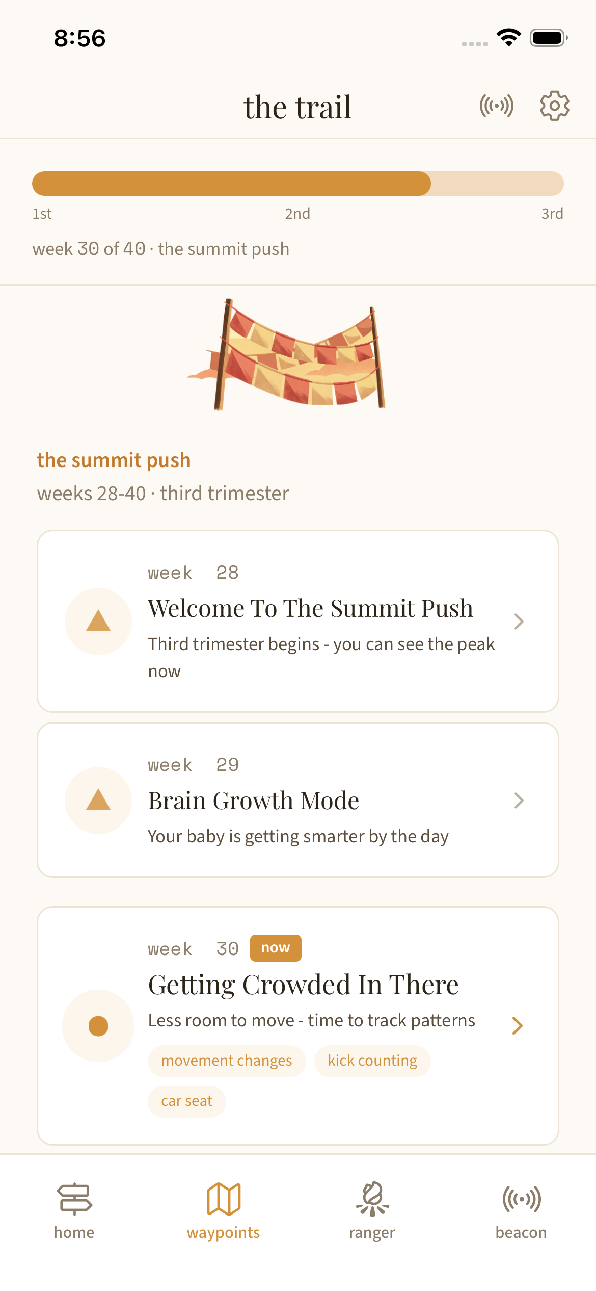 The trail — trimester progress bar with weekly waypoints mapped out